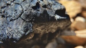 The Ideology of Promise With Helen Rollins