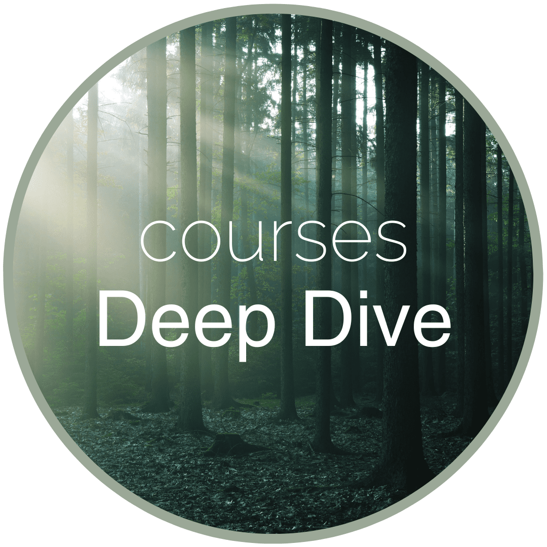 Courses Deep Dive Courses Deep Dive