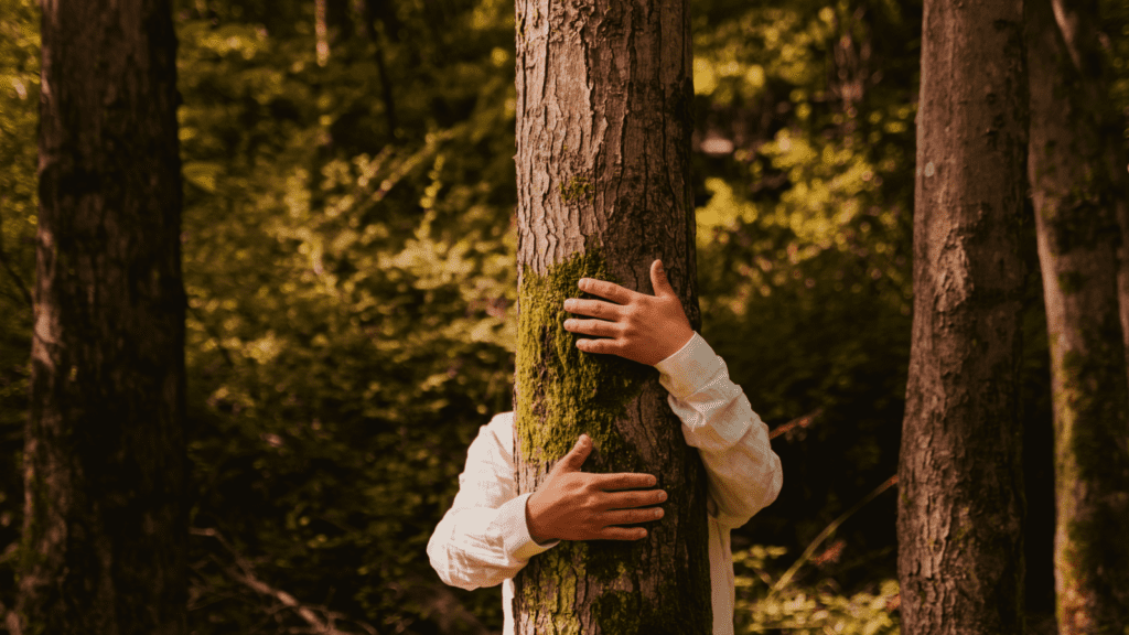 Impostor Feelings and Creativity Person Hiding Behind Tree Trunk by Lorryn Smit Photography from baseimage (Free use via Canva)