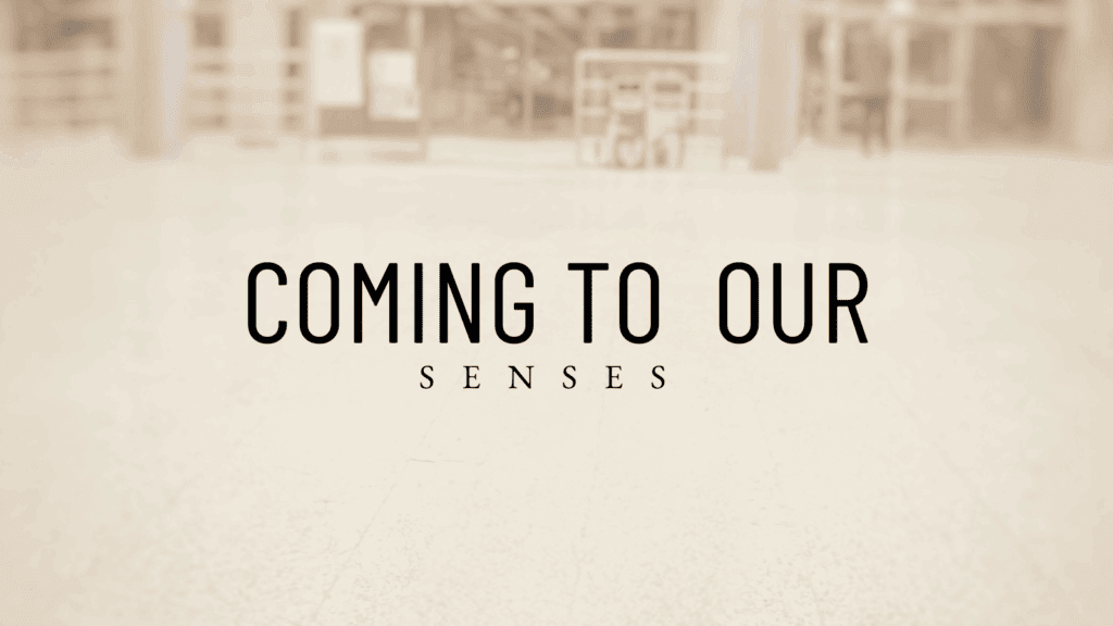 Coming To Our Senses Featured Image