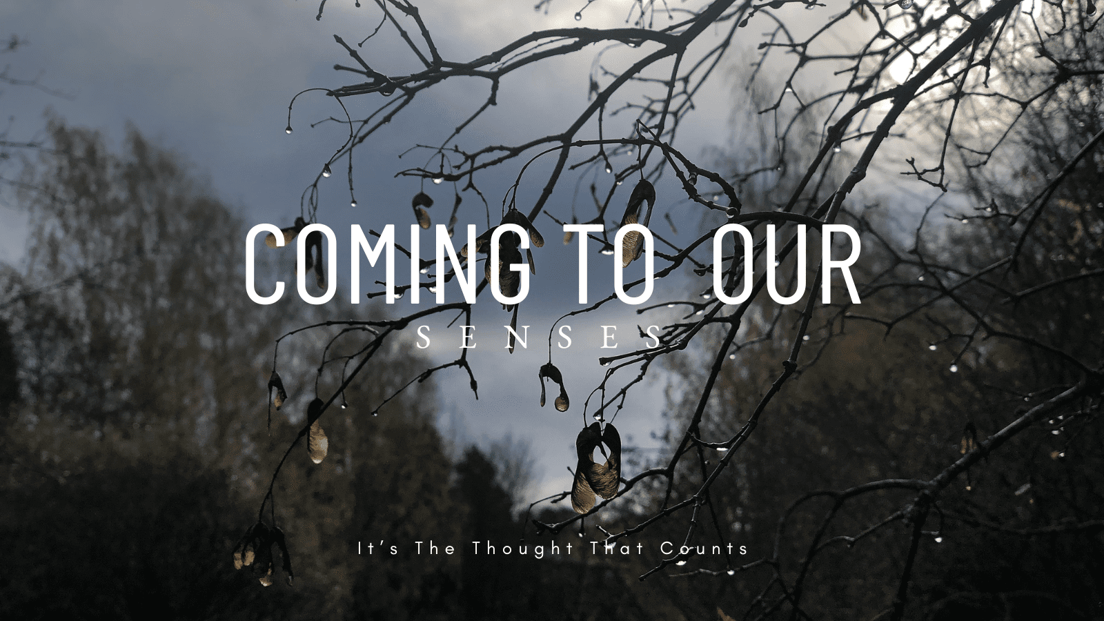 09 | It’s The Thought That Counts (Coming To Our Senses)